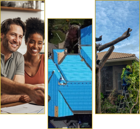 Happy couple planning home renovations with pool and tree removal projects