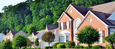 Modern brick suburban homes with manicured lawns and mature trees in background